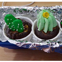 Pack cactus de Cupcakes Valencia